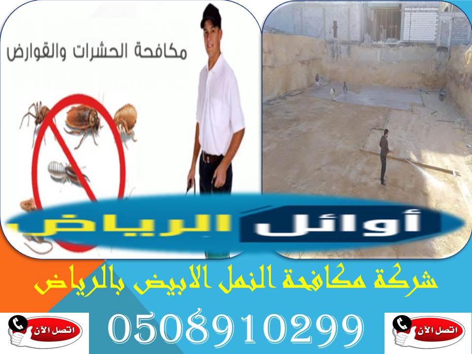 شركة مكافحة النمل الابيض بالرياض0508910299
