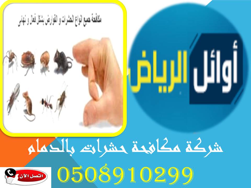 شركة مكافحة حشرات بالدمام0508910299