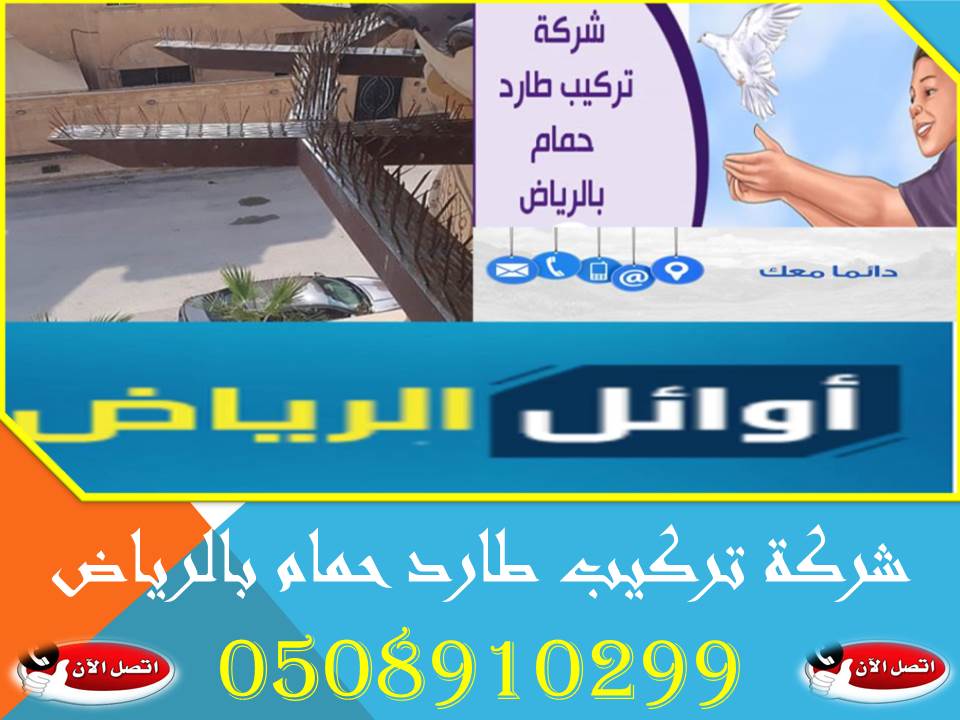 شركة تركيب طارد الحمام بالرياض